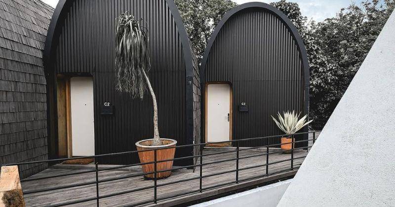 Instagram.com/Borzoihandy